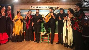 Fotos flamenco granada