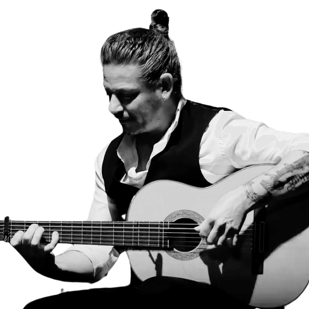 Manuel Fernández Guitarrista